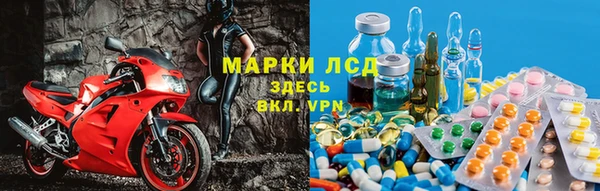 амф Аркадак