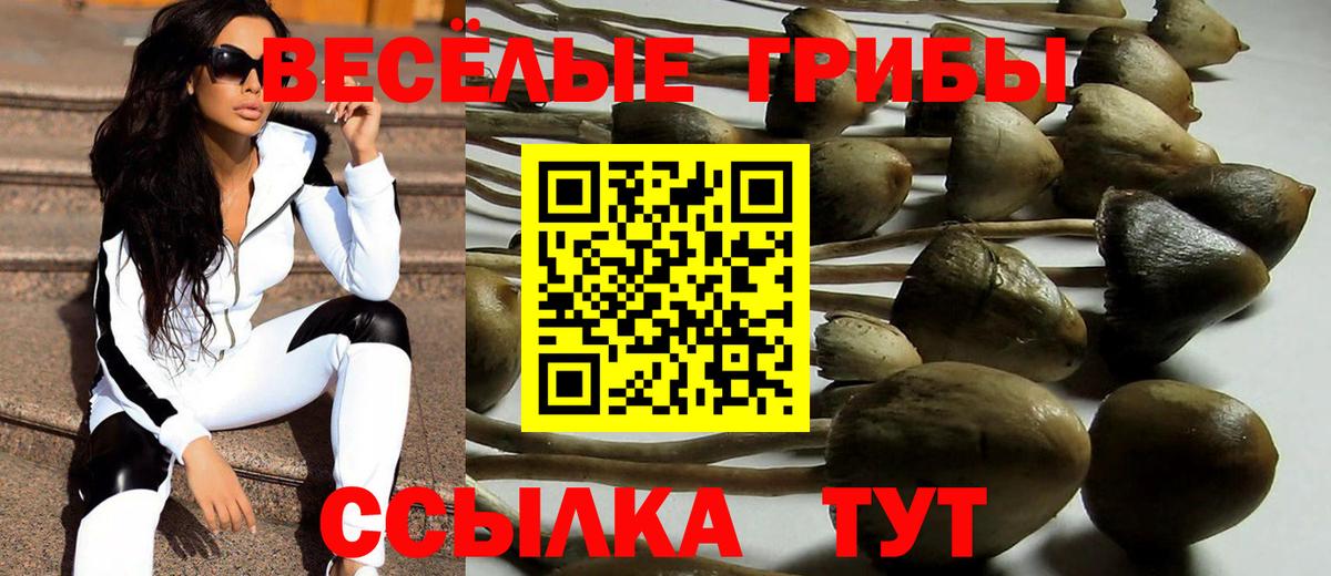 Галлюциногенные грибы MAGIC MUSHROOMS Пенза