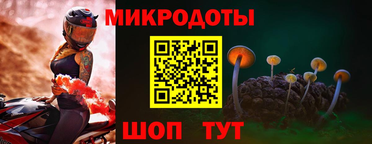 Галлюциногенные грибы Psilocybine cubensis  Вход с VPN  Пенза 